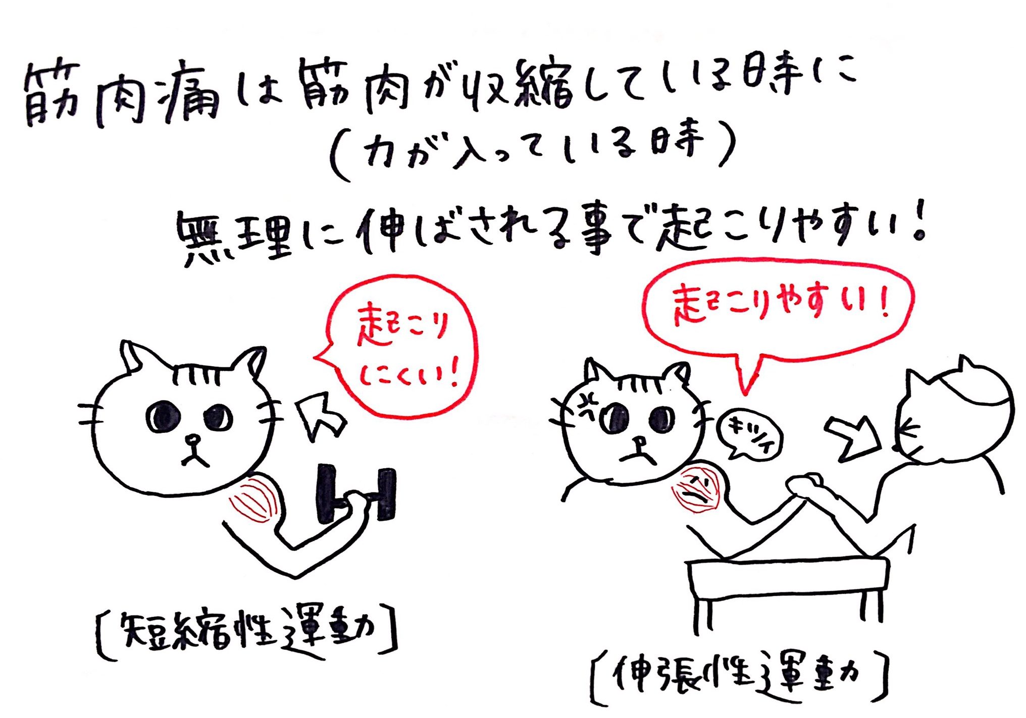 なぜ心臓は筋肉痛にならないの 筋肉痛を早く治す方法 ゆくい鍼灸整骨院